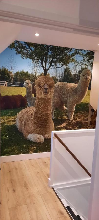 Zundert B&B De Raamberg المظهر الخارجي الصورة