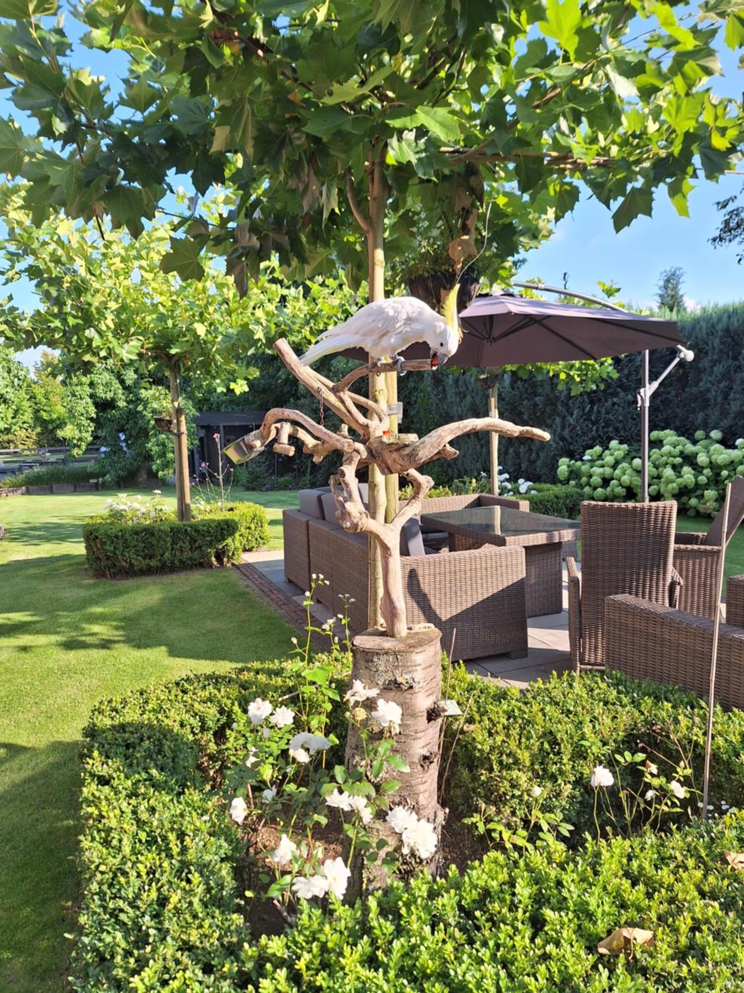 Zundert B&B De Raamberg المظهر الخارجي الصورة