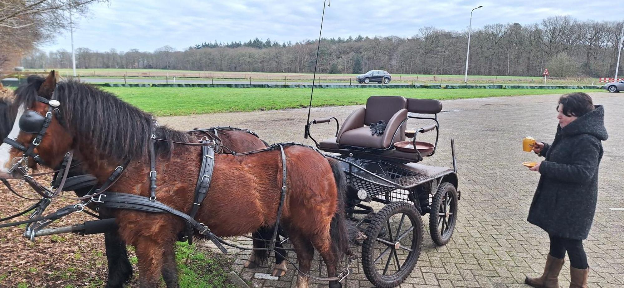Zundert B&B De Raamberg المظهر الخارجي الصورة